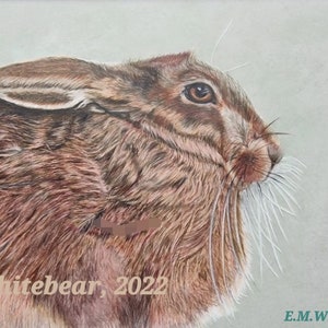 May include: A detailed colored pencil drawing of a brown hare with long whiskers, looking at a bumblebee. The bee is black and yellow, in flight. The artwork is signed "E.M.Whitebear, 2022".