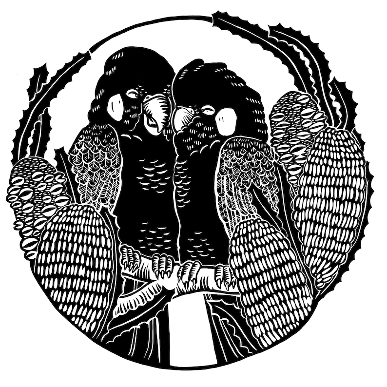 May include: Black and white illustration of two parrots perched on a branch, surrounded by stylized foliage. The parrots are facing each other, with their beaks touching.