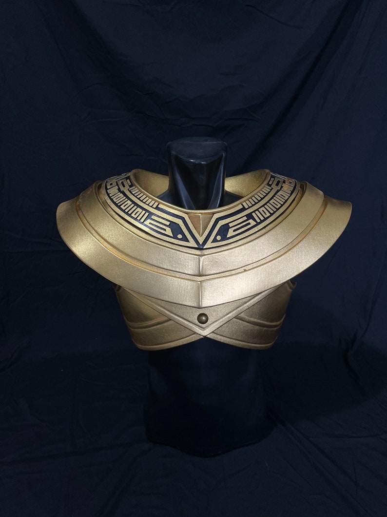 Zeo Gold / King Ranger Shield - Etsy