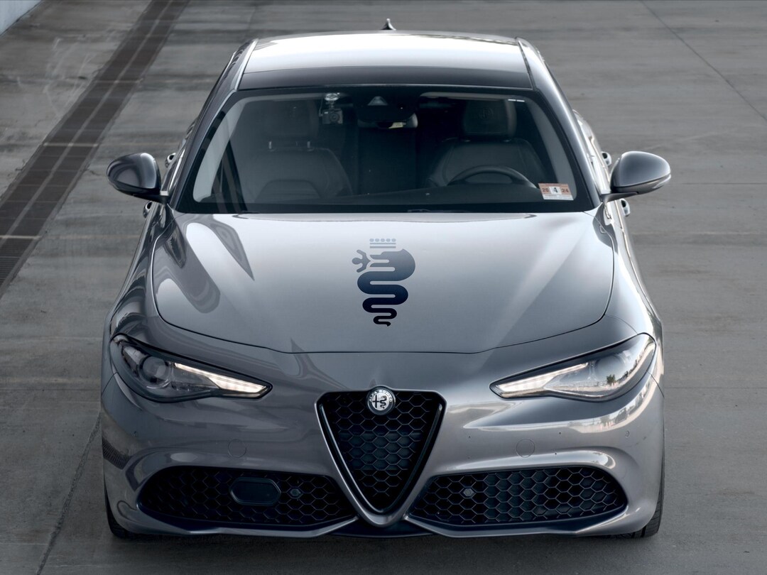 Alfa Romeo Serpent Hood Decal - Etsy
