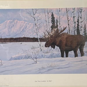 Grabado firmado del artista de Alaska Jon Van Zyle “¿Me estás mirando?” 1998 Alce Raro Hacer oferta