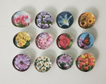 Decoratieve bloemenmagneten