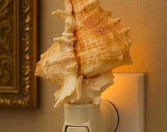 Bathroom light, shell lamp, night light lamp, bedroom light, Decorative Beach Decor, Seashell Night Light, Murex night lamp, Sea Shell Light