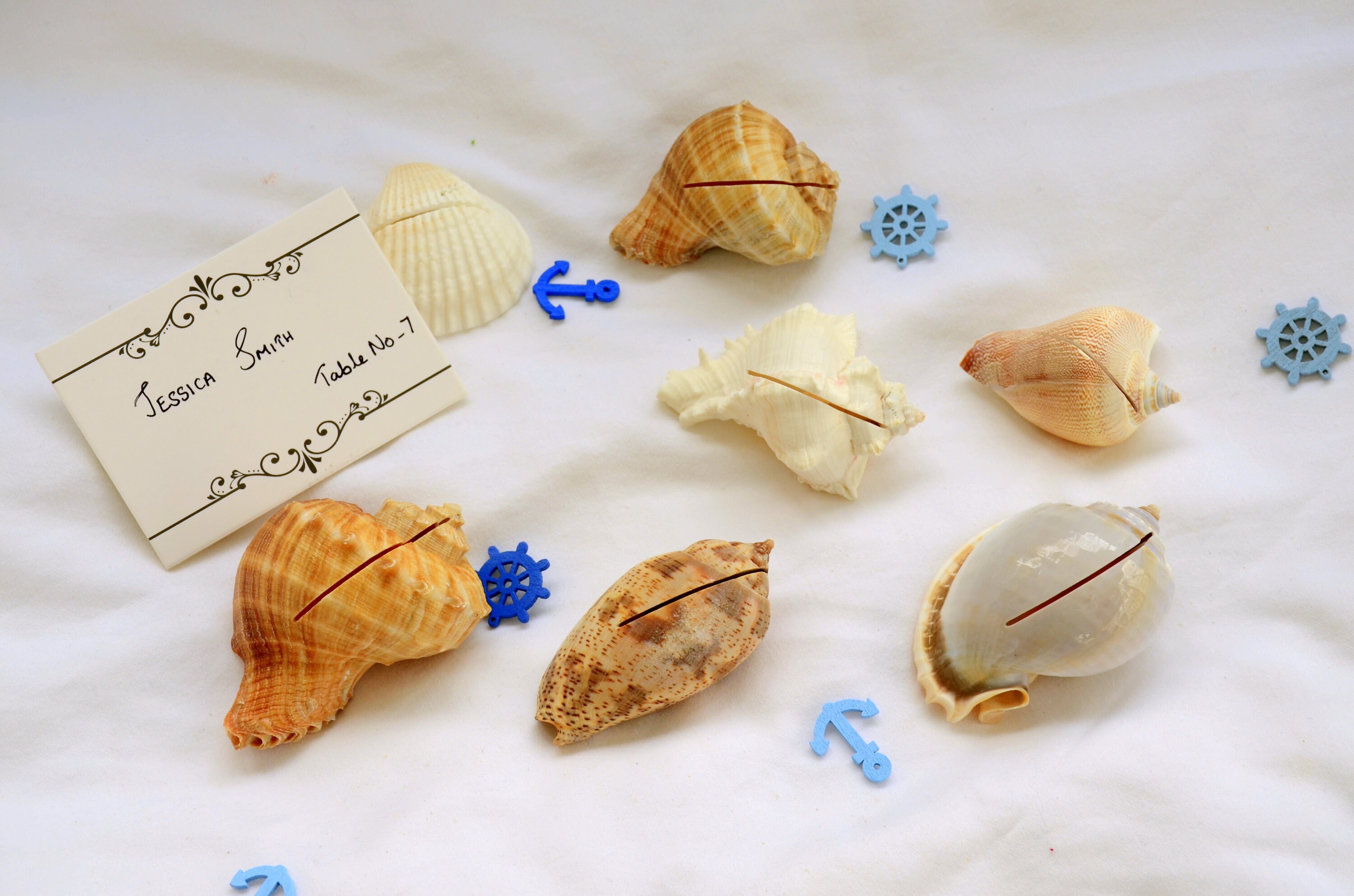 Name Card Place Holdersdecorative Beach Wedding Place Cards Etsy