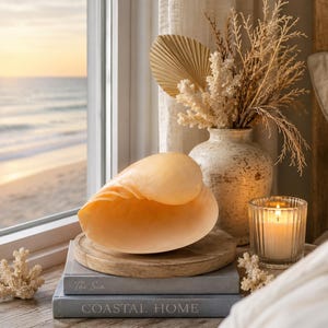 May include: A large, smooth, peach-colored seashell rests on a round wooden base atop two stacked gray books titled The Sea and Coastal Home. Beside it sits a speckled ceramic vase with dried foliage and a lit candle in a ribbed glass holder.
