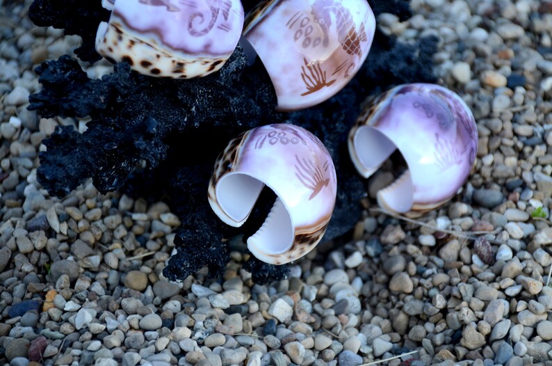 Beach Theme Napkin Ringsnapkin Holderset Of 4 Etsy