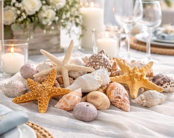 Large Assorted Seashells Pack of 20, Natural Mixed Beach Shells, Coastal Beach Wedding Decor, Boho Craft Supply, Real Seashells STARFISH