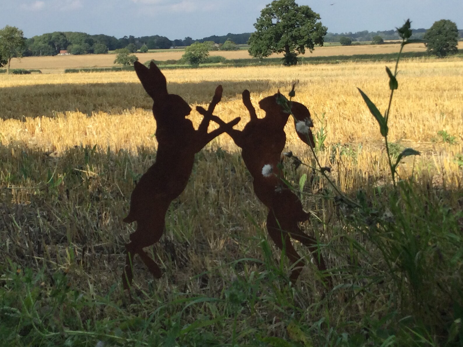 Large Rusty Rustic Boxing Fighting Hares Garden Statue - Etsy UK