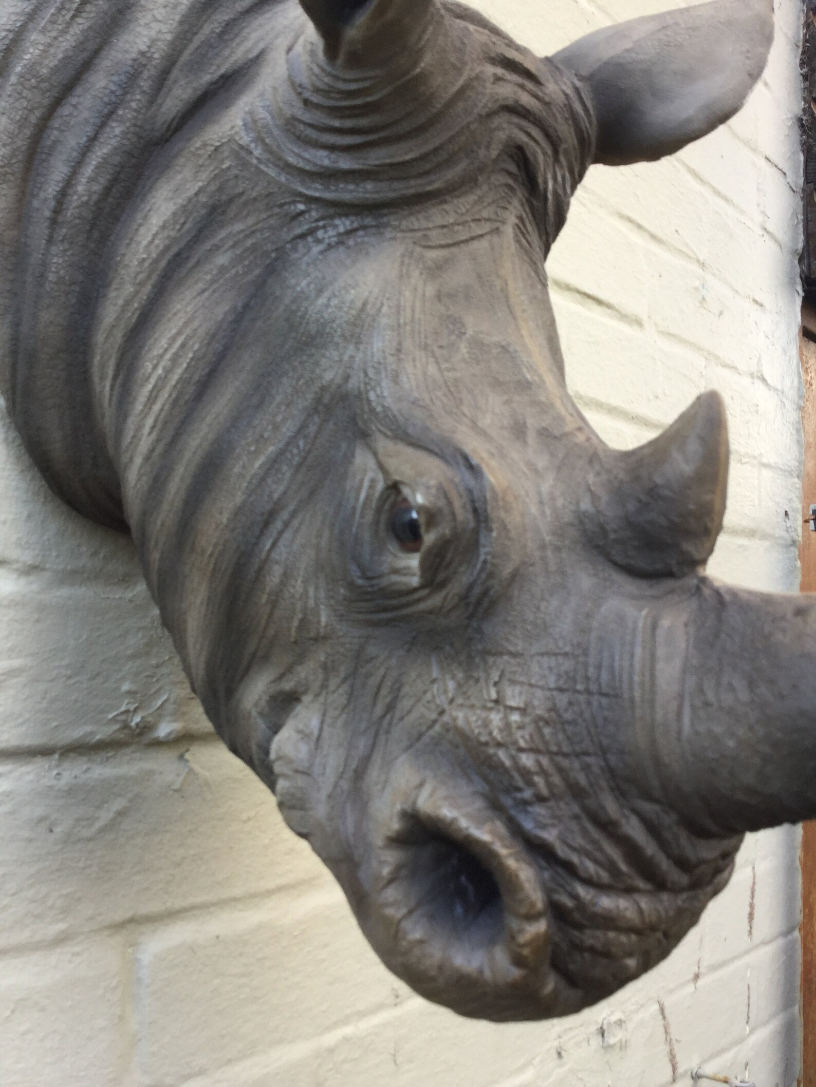 Lifelike Rhino Head Wall Art Wall Hanging Realistic And Extra Etsy