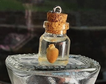 Wet Mouse Heart/Wild Field Mouse Heart/Real Wet Specimen/Glass Jar