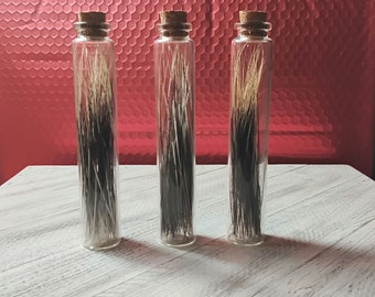 Porcupine Hair in a Vial/Real/North American Porcupine
