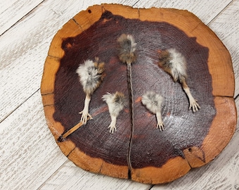 Mouse Feet and Tail/4 Feet and 1 Tail/Wild Field Mouse Feet & Tail/Mouse Foot