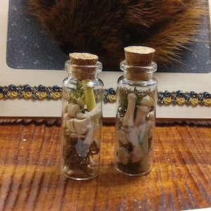 Raccoon Toe Bones in Vial/Toe Bones in a Bottle/1 Vial of Bones/Mystery Box