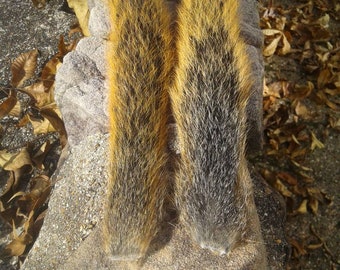 Fox Squirrel Tail/1 Tail/Fox Squirrel/Real/Fly Tying Fur/Fly Fishing/pelt