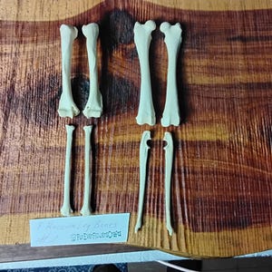 Raccoon Bones/8 Pack/Leg Bones/Real Bone/Taxidermy/Craft Bones/Jewelry supply bones