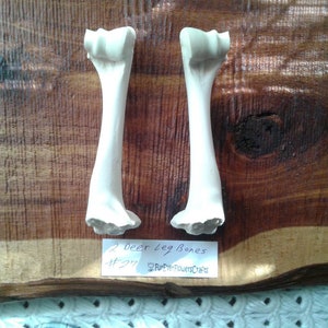 Deer Leg Bones/Real Deer Bone/Carving Bones/Knife Bones/Crafting Bone/Jewelry Bones