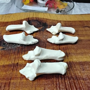 Deer Bone/6 Pack/Foot Bone/Knuckle Bone/Real