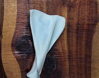 Deer Scapula Bone/Large/Scapula Bone/Shoulder Blade/Bone/Real Bone