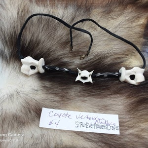 Coyote Necklace/Coyote Vertebrae/Mens Necklace/Hunters Necklace/Turkey Hunter/Bone Necklace