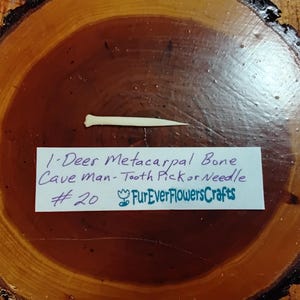 Deer Leg Bone/Real Bone/Cave Man Tooth pick, Needle Bone