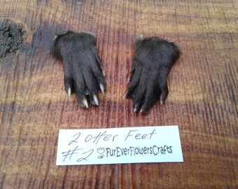 May include: Two dark brown animal feet with visible claws, positioned above a white rectangular card featuring the handwritten text 2 offer Feet #2 FurEverFlowersCrafts with a small tulip icon drawn in blue ink.