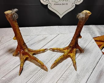 Real Rooster Feet/Real/Bird Feet/Rooster Claws/Rooster Foot/Bird Claws/Bones/Mummified