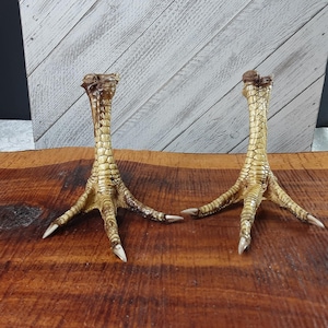 May include: Two yellow-brown turkey feet with three toes each, mounted on a wooden surface.