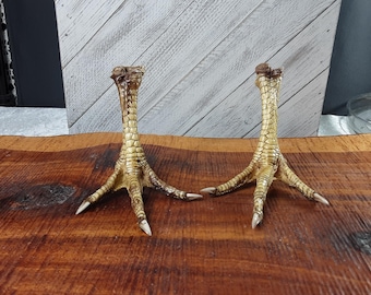 Real Chicken Feet/Real/Bird Feet/Chicken Claws/Chicken Foot/Bird Claws/Bones/Mummified