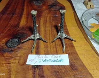 Real Banty Rooster Feet/Real/Bird Feet/Rooster Claws/Foot/Bird Claws/Mummified
