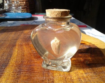 Wet Starling Heart/Bird Heart/Wet Specimen/European Starling/Glass Jar