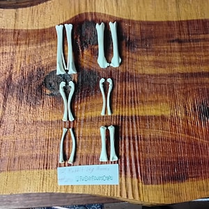 Rabbit Bones/12 Pack/Leg Bones/Real Bone/Jewelry Bones/Craft Bones