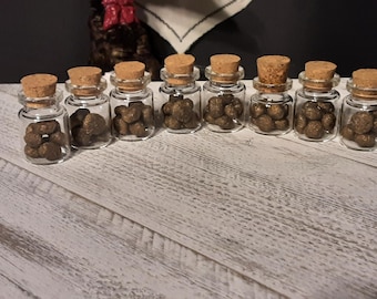 Wild Cotton Tail Poop in a Vial/1 Vial/Wild Rabbit/Curio/Mystery Box
