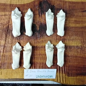 Deer Bone/8 Pack/Foot Bone/Knuckle Bone