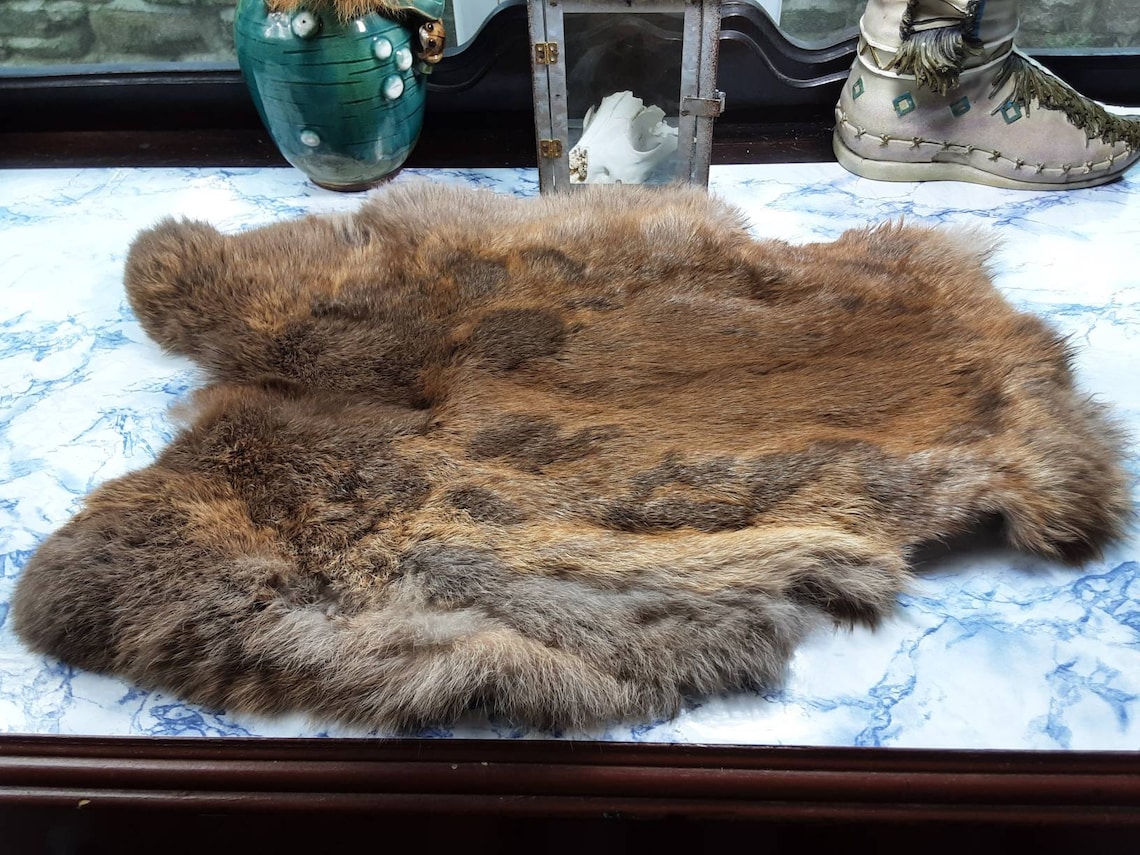Rabbit Pelts/Large/Pelts/Real Pelt/Fur Etsy