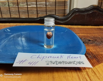 Wet Chipmunk Heart/Wet Specimen/Glass Jar