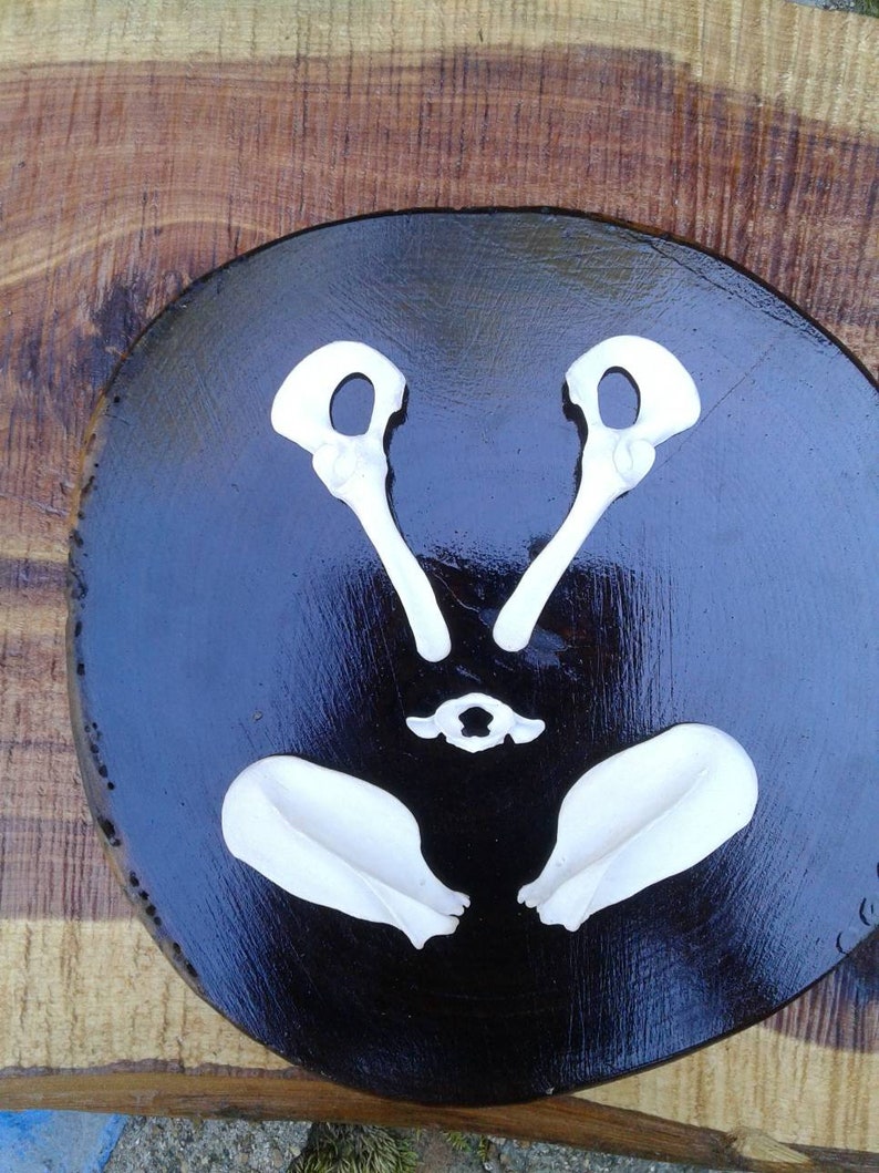 Opossum Scapula Pelvic AtlasAnimal BonesReal BoneTaxidermySkeleton BonesCraft Bones