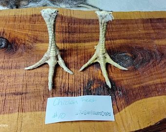 Real Chicken Feet/Real/Bird Feet/Chicken Claws/Chicken Foot/Bird Claws/Bones/Mummified