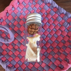 Raccoon Tail Bones in Vial/Bones in a Bottle/1 Vial of Bones/Mystery Box