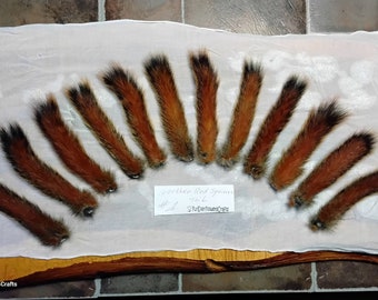 Squirrel Tail/Mummified/Dried/Northern Red Squirrel Tail/Fly Tying Fur/Fly Fishing