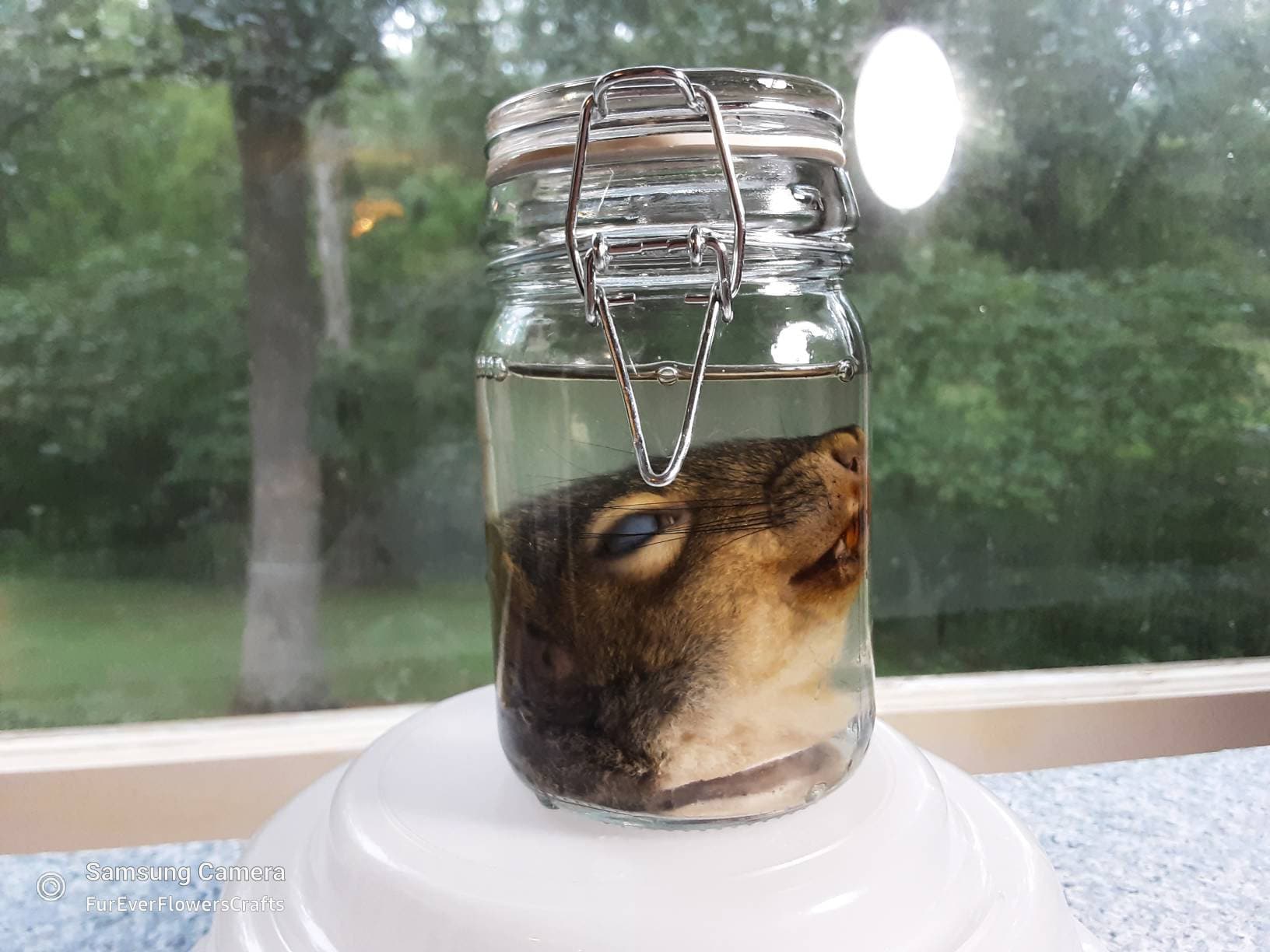 磐田温水プール 福田屋内スポーツセンター 利用カード 20380円分