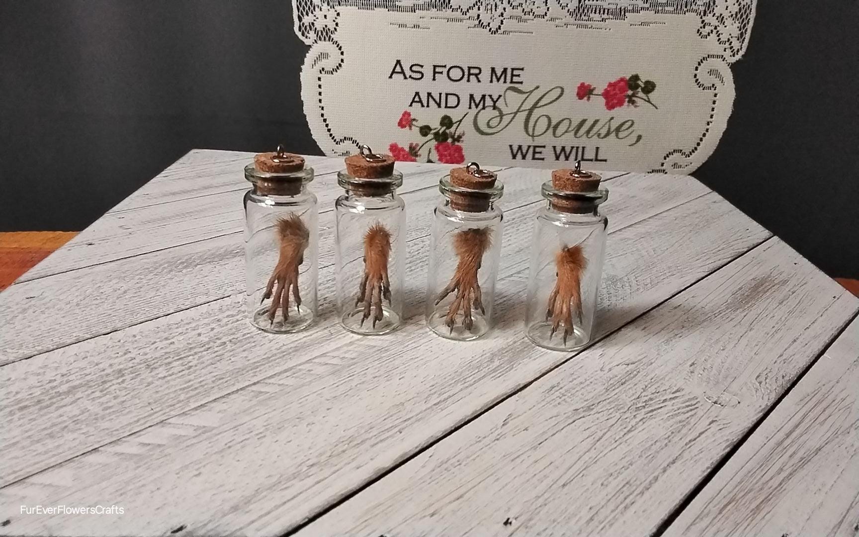 Squirrel Foot Racks Nothern Red Squirrel Foot in Vial/1 Foot/squirrel Foot/feet - Etsy