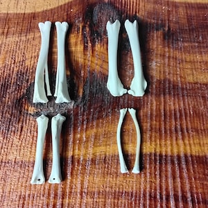 Rabbit Bones/8 Pack/Leg Bones/Real Bone/Craft Bones/Jewelry Bones