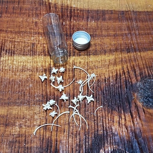 Snake Bones in Vial/30 Pack/Vertebrae & Ribs/Curio Bottle/Vial of Snake Bones/Small