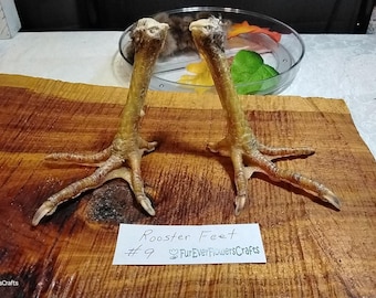 Real Rooster Feet/Real/Bird Feet/Rooster Claws/Rooster Foot/Bird Claws/Bones/Mummified