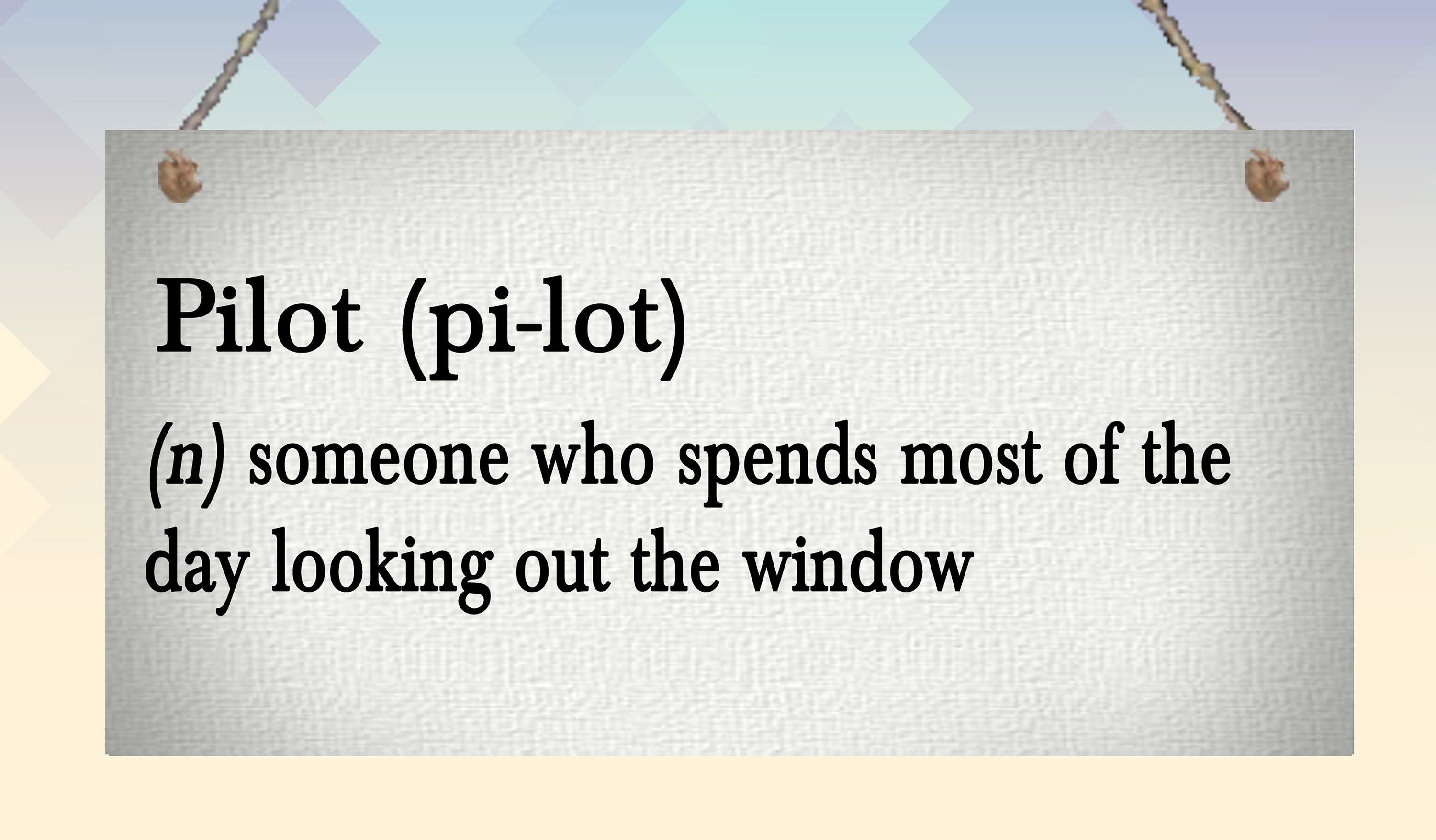 Pilot Definition Funny Hanging Wall Plaque Gift Present Etsy