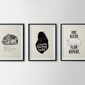 Kunstdrucke &quot;Crazy Bunny Lady Starter Kit&quot; | DIN A4