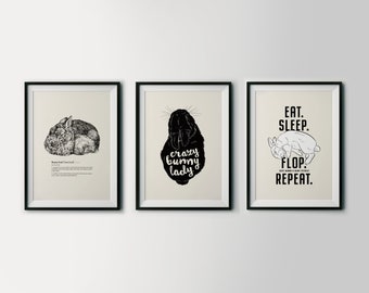 May include: Three framed prints with black frames and white mats. The left print features a black and white illustration of a sleeping rabbit with the text "Bunny Loaf (Donut Roll)". The middle print features a black silhouette of a rabbit with the text "crazy bunny lady". The right print features a black and white illustration of a sleeping rabbit with the text "EAT. SLEEP. FLOP. REPEAT."