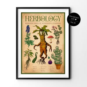 Könnte beinhalten: Ein gerahmtes Herbology-Poster der Hogwarts School of Witchcraft & Wizardry mit einer zentralen Alraunen-Illustration, umgeben von verschiedenen botanischen Zeichnungen wie einem Pilz, einem Kaktus und Pflanzen auf einem Vintage-Papierhintergrund.