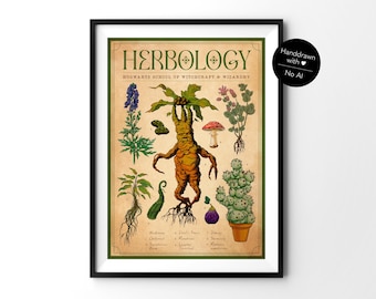 Herbology Art Print: Vintage Botanical Illustration, Magic Plants