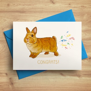 Glückwunsch Grußkarte A6 – Süßes Kaninchen pupst Konfetti – Witzige Karte mit Umschlag – nachhaltig auf Recyclingpapier